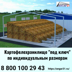 Построить надежное картофелехранилище Белгород